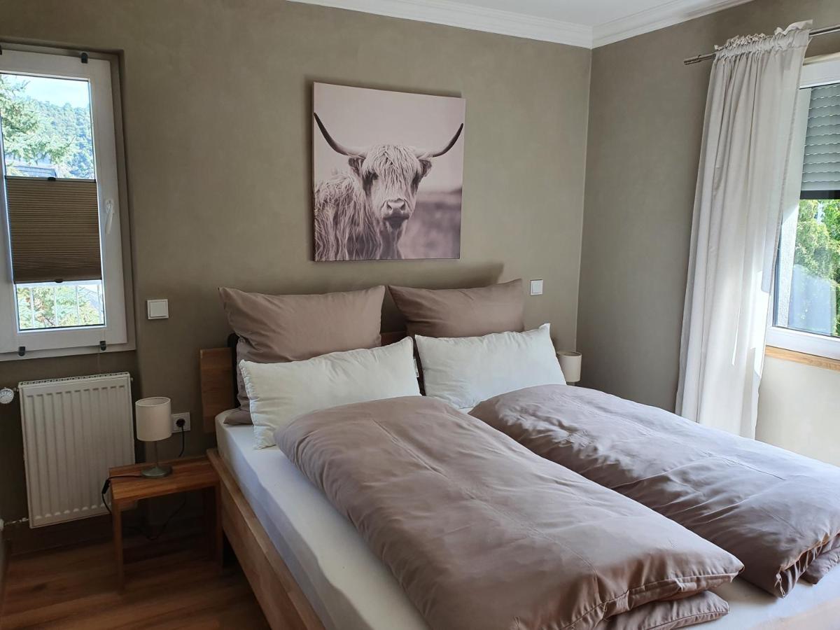 Moselfeeling Co2frei Apartment Cochem